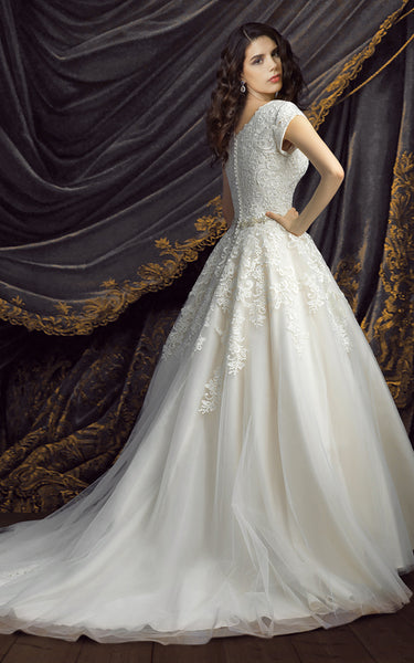 Royal Short Sleeve Ball Gown Wedding Dresses-HT_708787